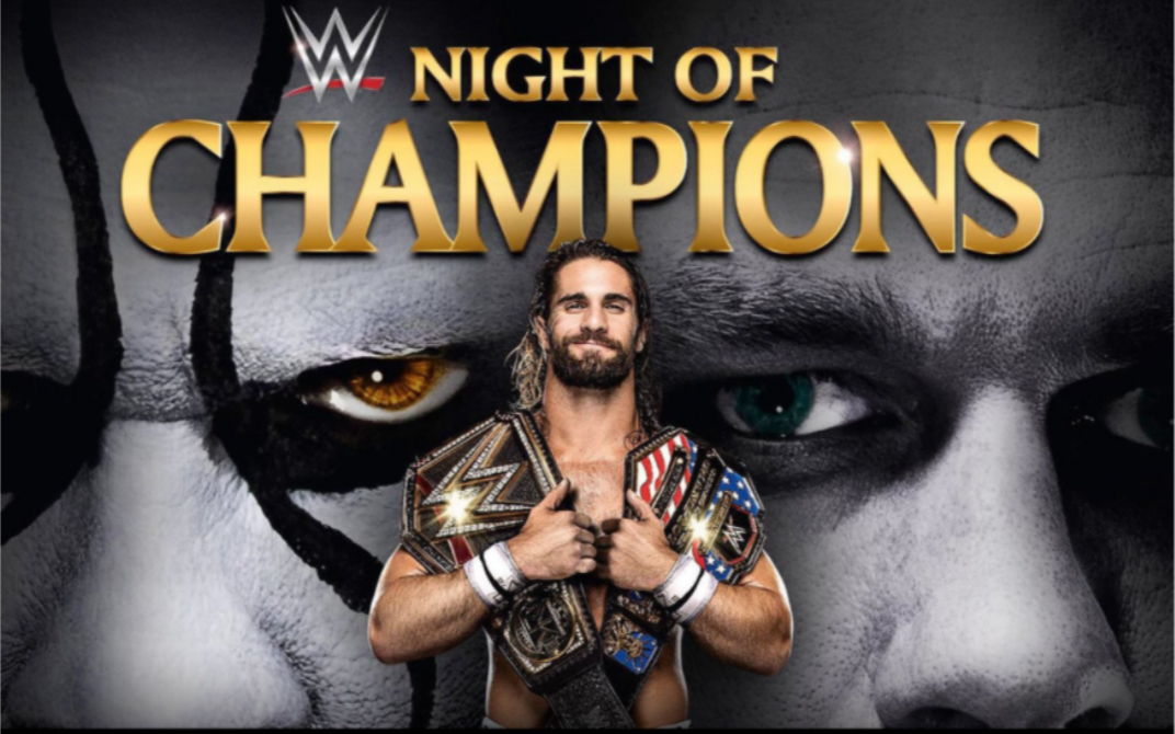 塞斯vs约翰塞纳.全美冠军.塞斯vs斯汀.wwe世界重量级冠军