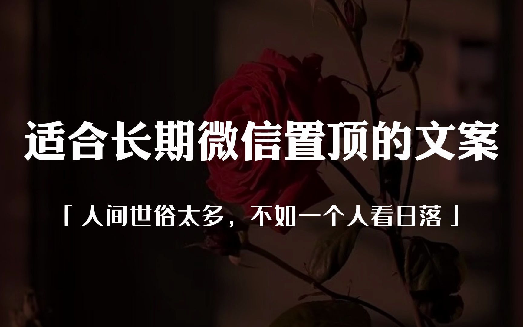 “人间世俗太多,不如一个人看日落.”|适合微信置顶的文案哔哩哔哩bilibili