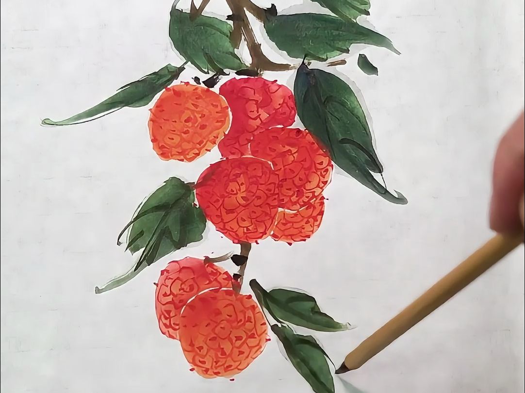 一个视频教会你画一串荔枝