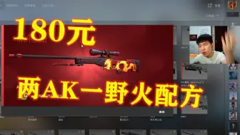 【CSGO炼金】两AK一野火只需要180元，舒舒服服 干他