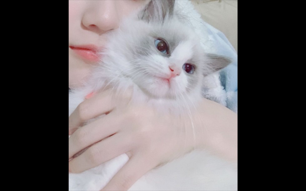 郑丹妮20200620凌晨电台删减版