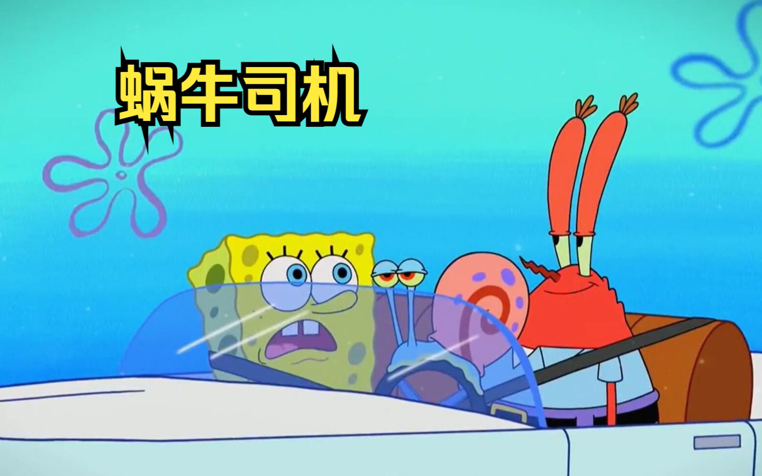 海绵宝宝的宠物蜗牛都学会了开车,可他还是一直学不会