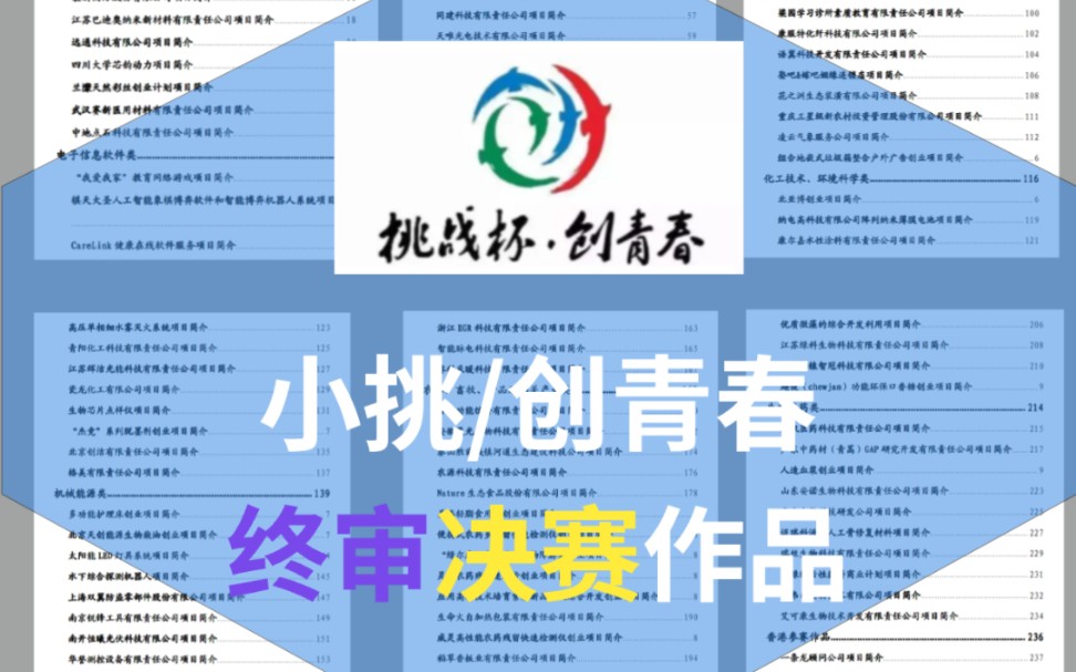 创青春 | 小挑战杯决赛终审作品