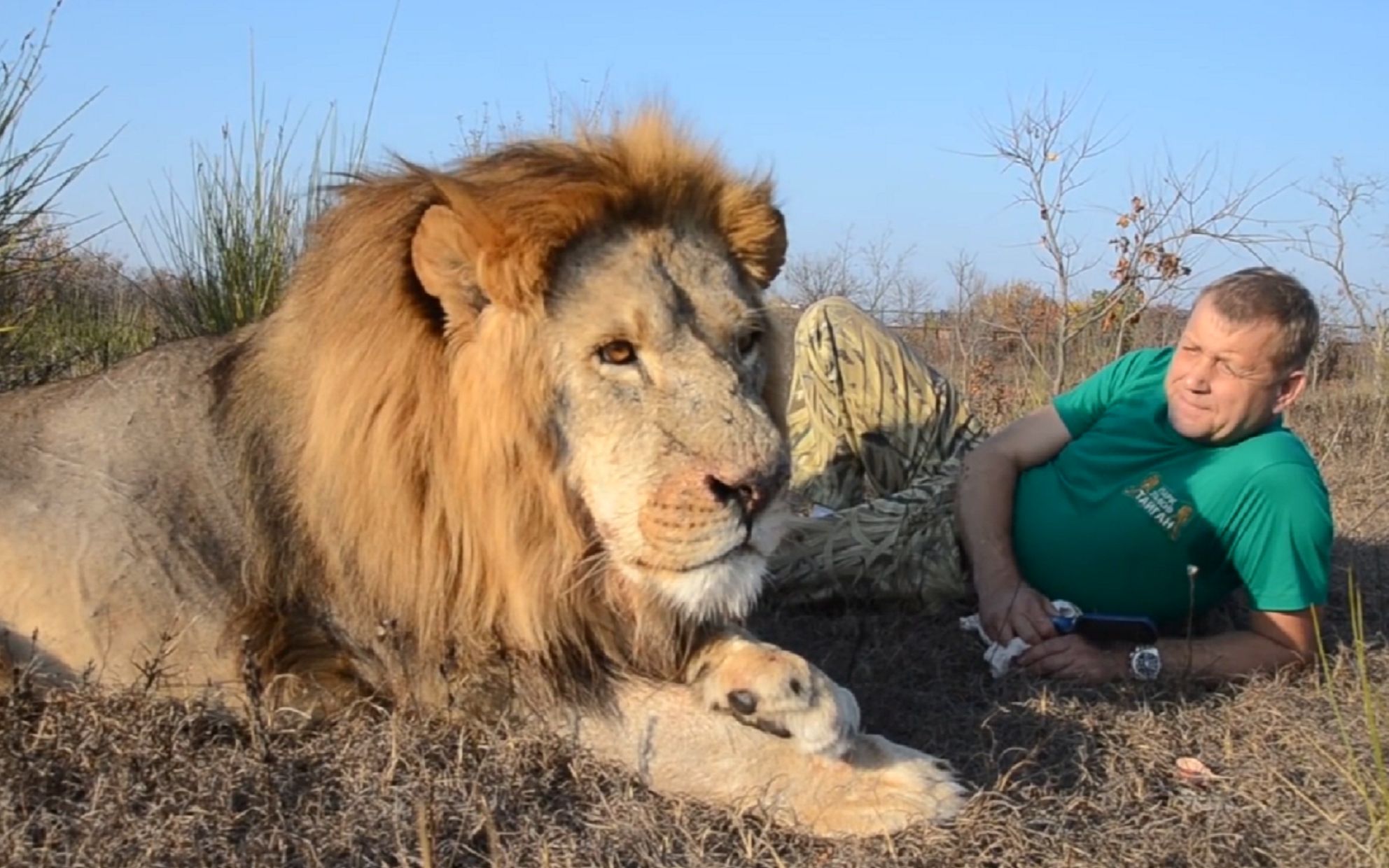 我向狮王"奇克"倾诉心事_哔哩哔哩 (゜-゜)つロ 干杯~-bilibili