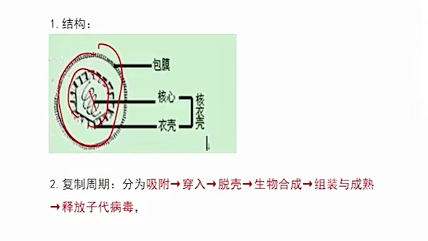 [图]西药士 06.【第3章：病原生物学与免疫学】第1-2节总论-各论