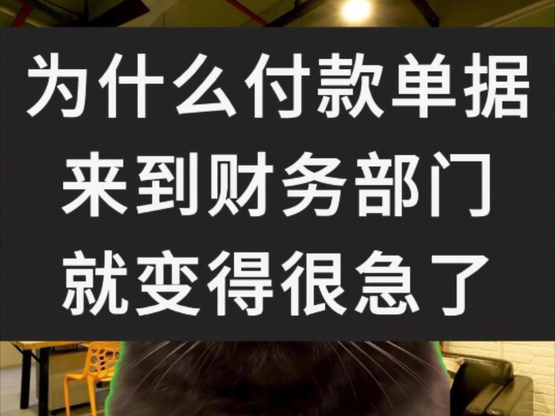 为什么付款单据到财务部就变得很急了?哔哩哔哩bilibili