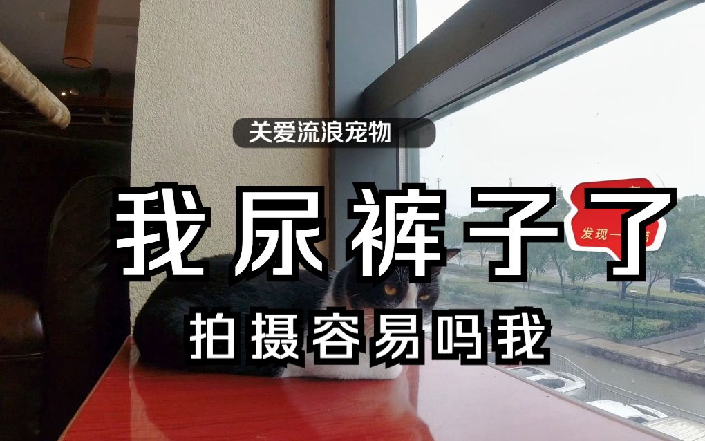 太难了,遇到大雨回来还找不到厕所尿裤子了