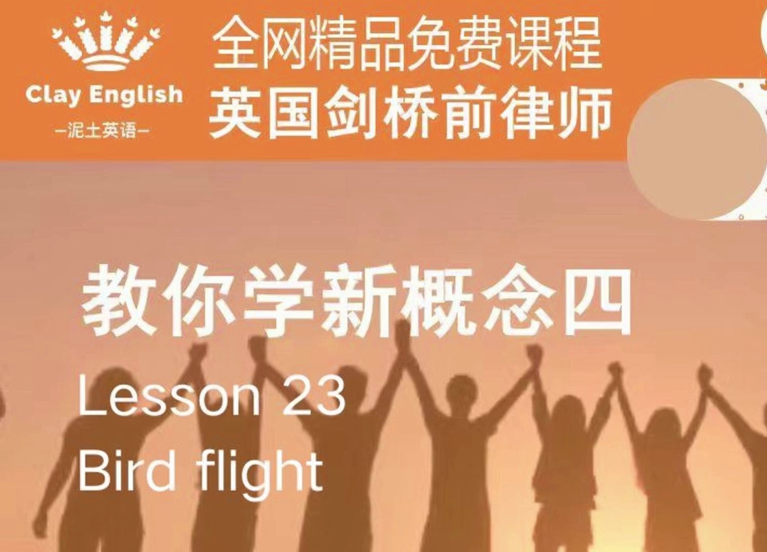 新概念英语第四册 第23课 Bird flight(上海高校英语教师携手英国剑桥前律师精心制作)哔哩哔哩bilibili