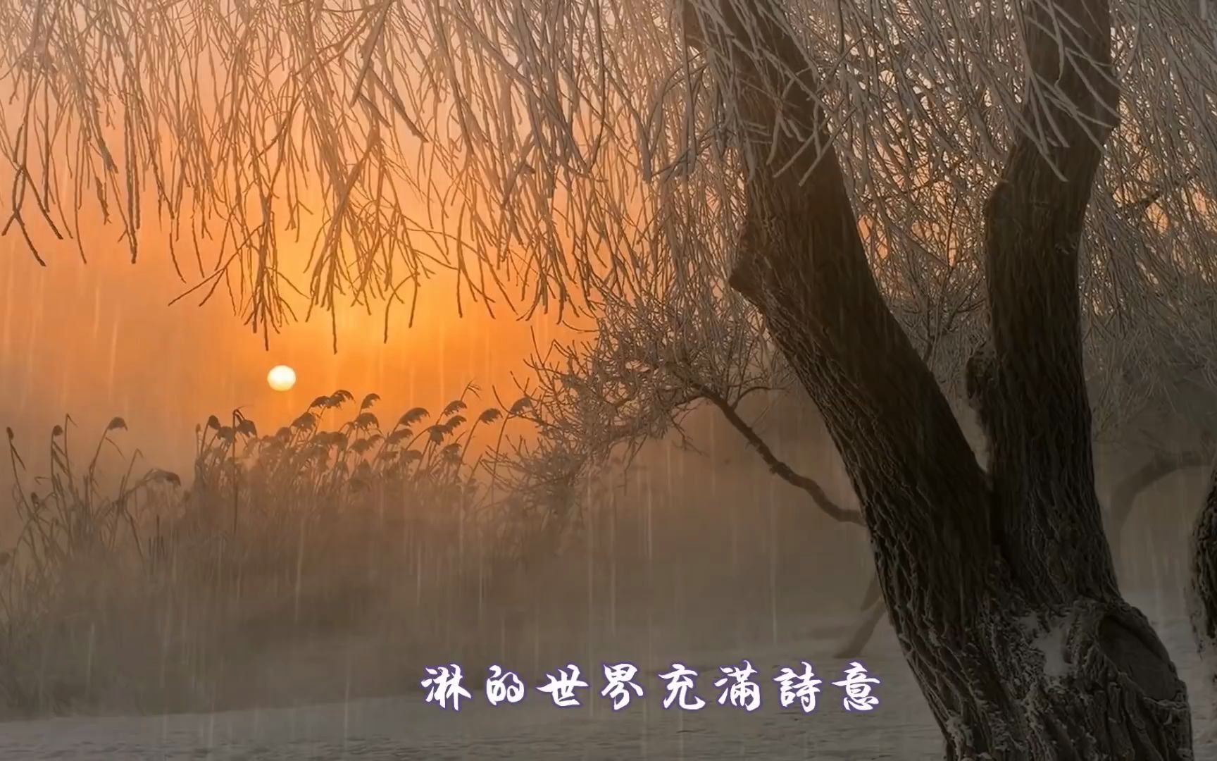 [图]微风细雨-邓丽君-伴奏 KARAOKE