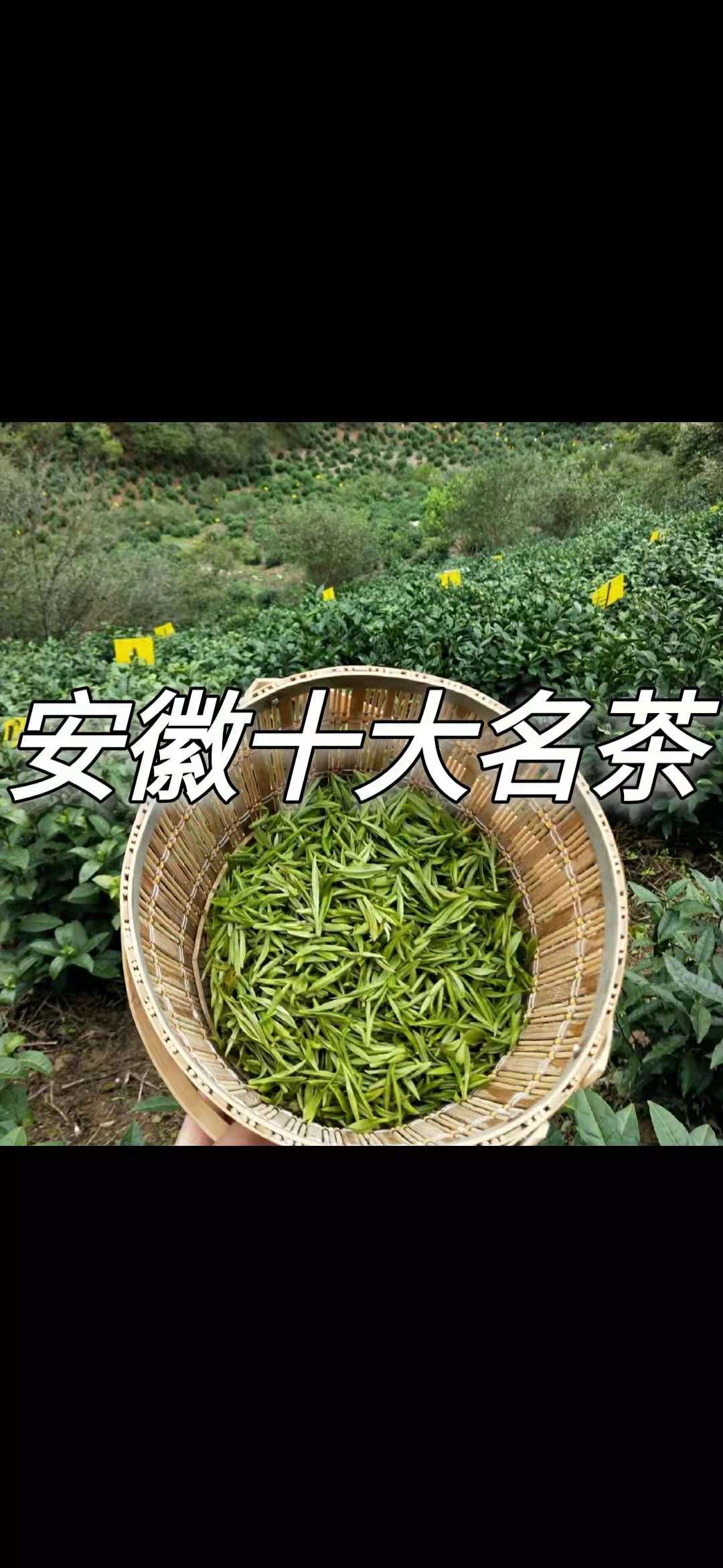 你知道安徽有哪些名茶吗哔哩哔哩bilibili