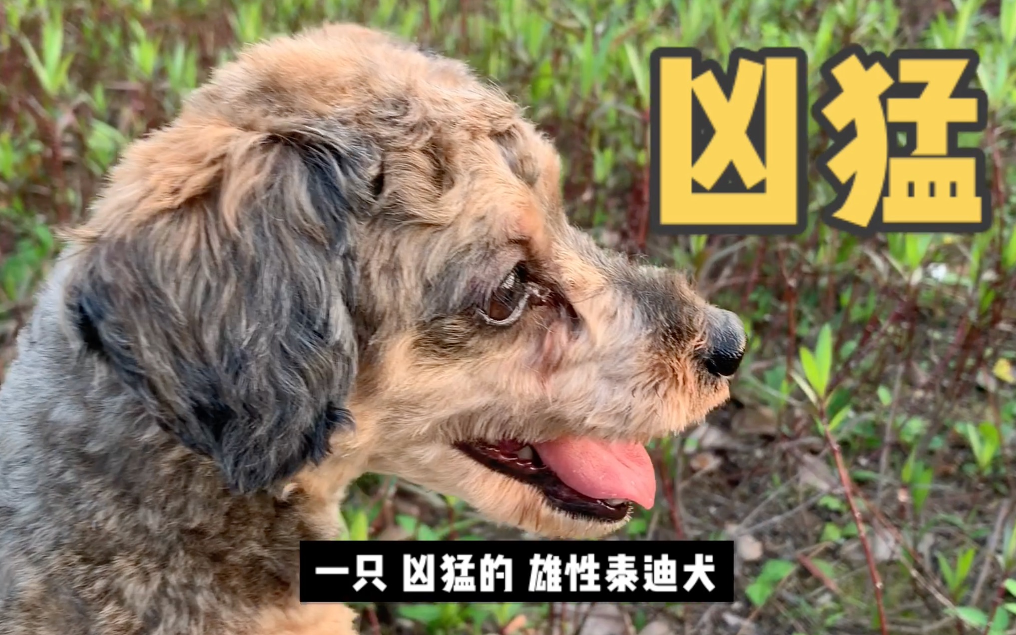  疫情是什么什么造句子(疫情期间最经典句子)