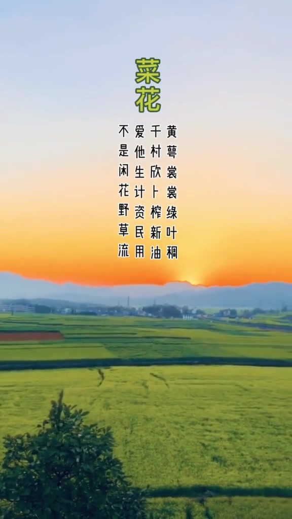 菜花丛里莺声乱,杨柳青青……乾隆 诗词60920哔哩哔哩bilibili