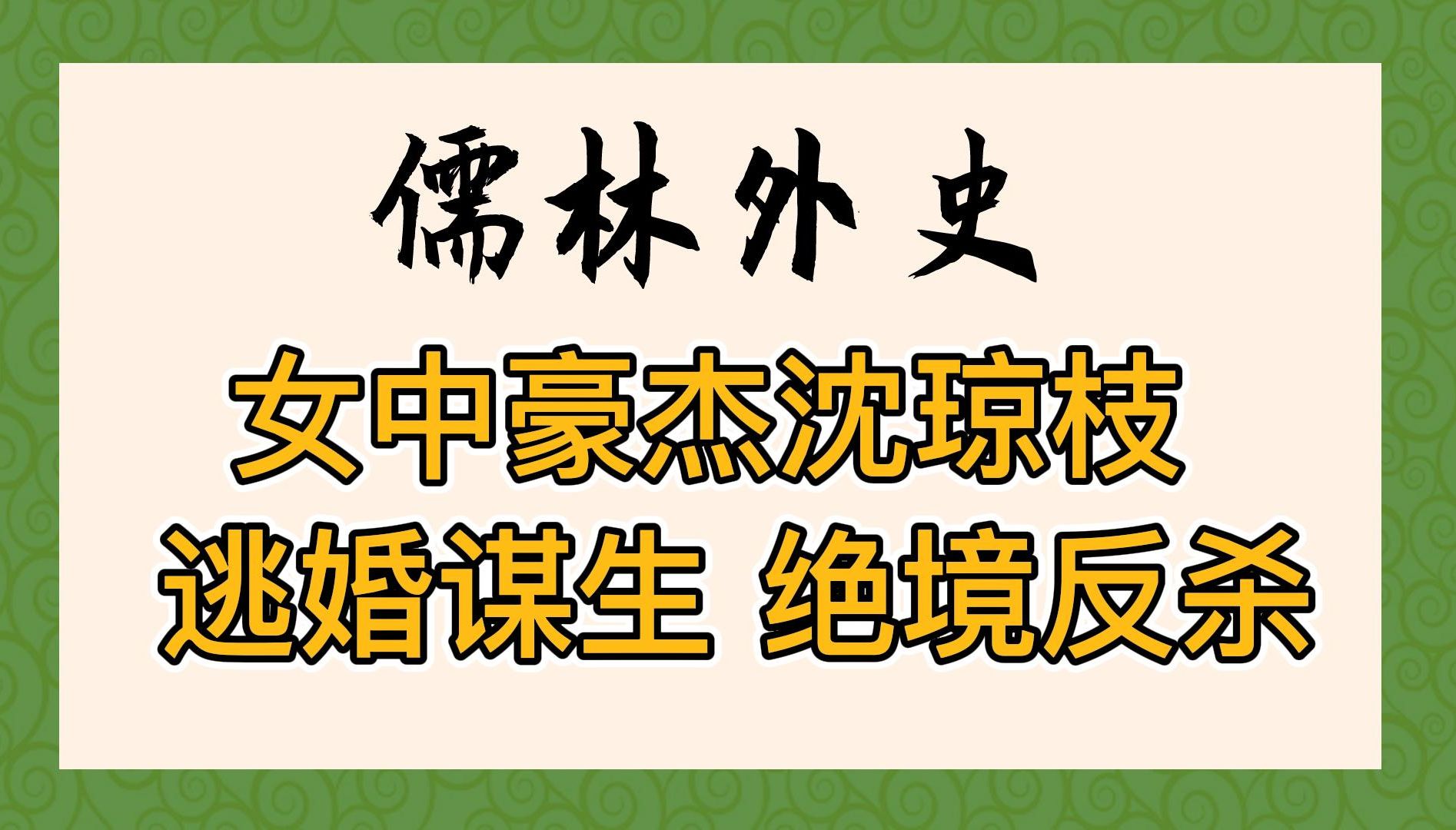 儒林外史:逃婚、骂街、摆摊挣钱!大女主沈琼枝智勇双全,自救自立,精神状态遥遥领先哔哩哔哩bilibili