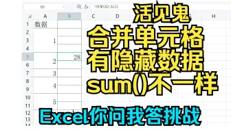 《Excel你问我答挑战》 合并单元格有隐藏数据？ 该怎么求和可见数字