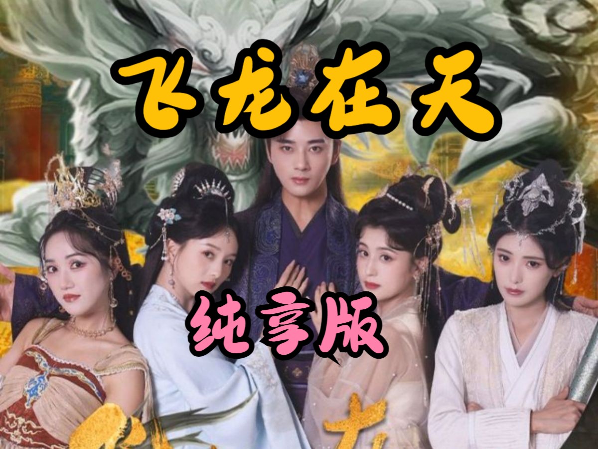 飞龙在天1-40集完整版