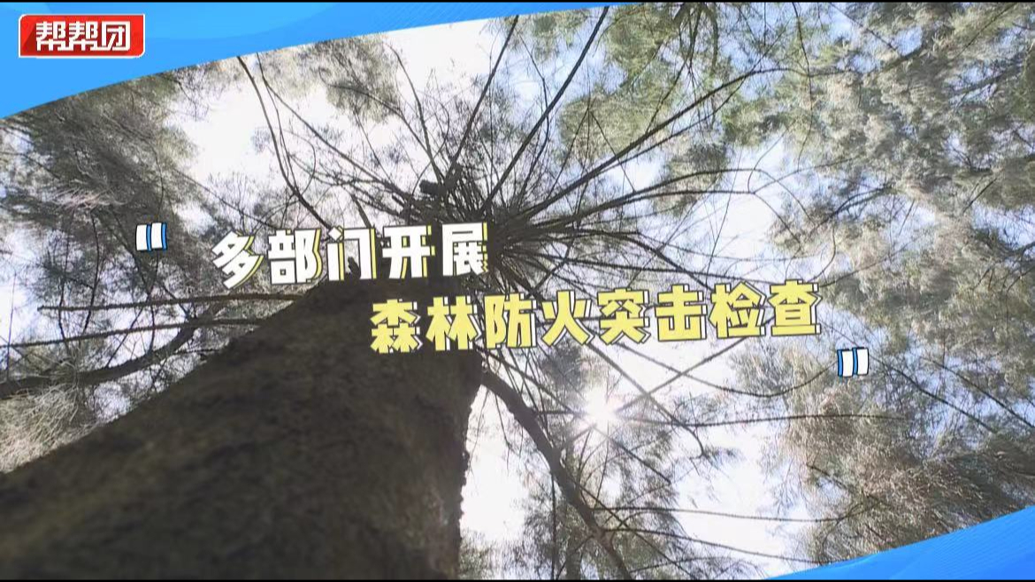 实时检测、精准定位烟点!这个森林防火黑科技建议全范围推广哔哩哔哩bilibili