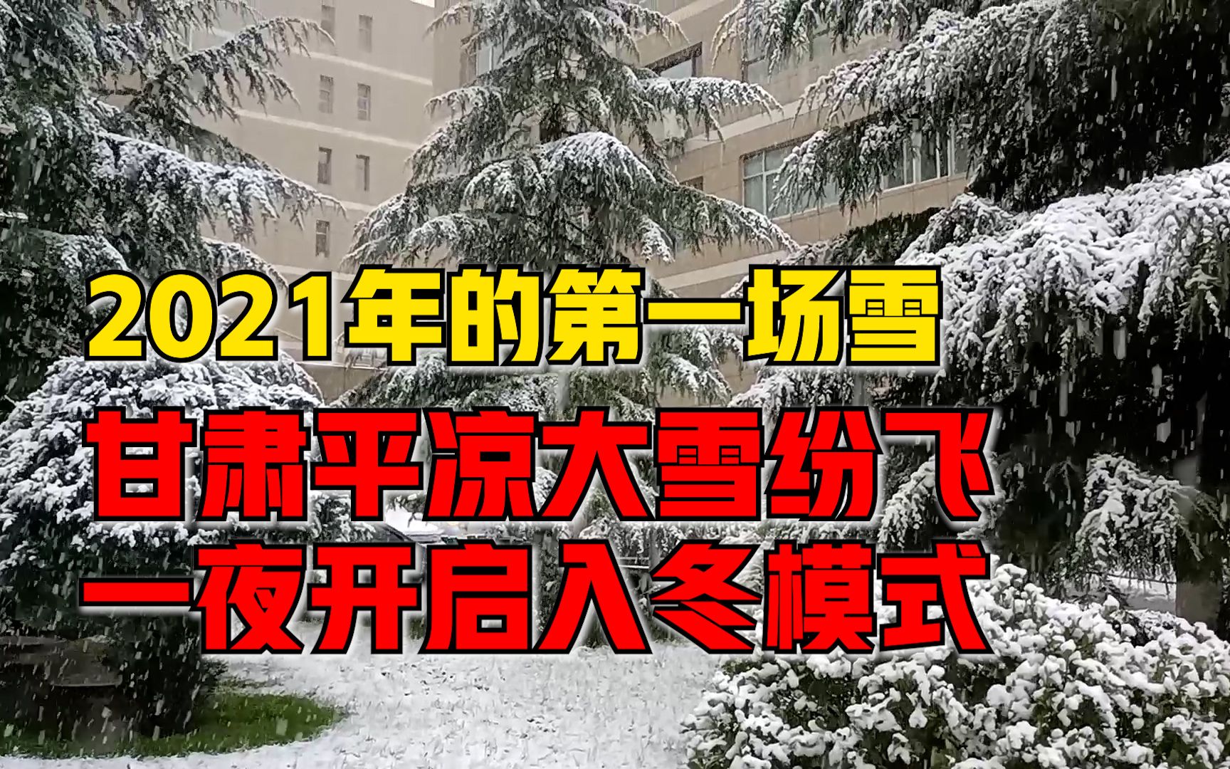 [图]甘肃平凉一夜入冬大雪纷飞，绿植被大雪覆盖白茫茫一片