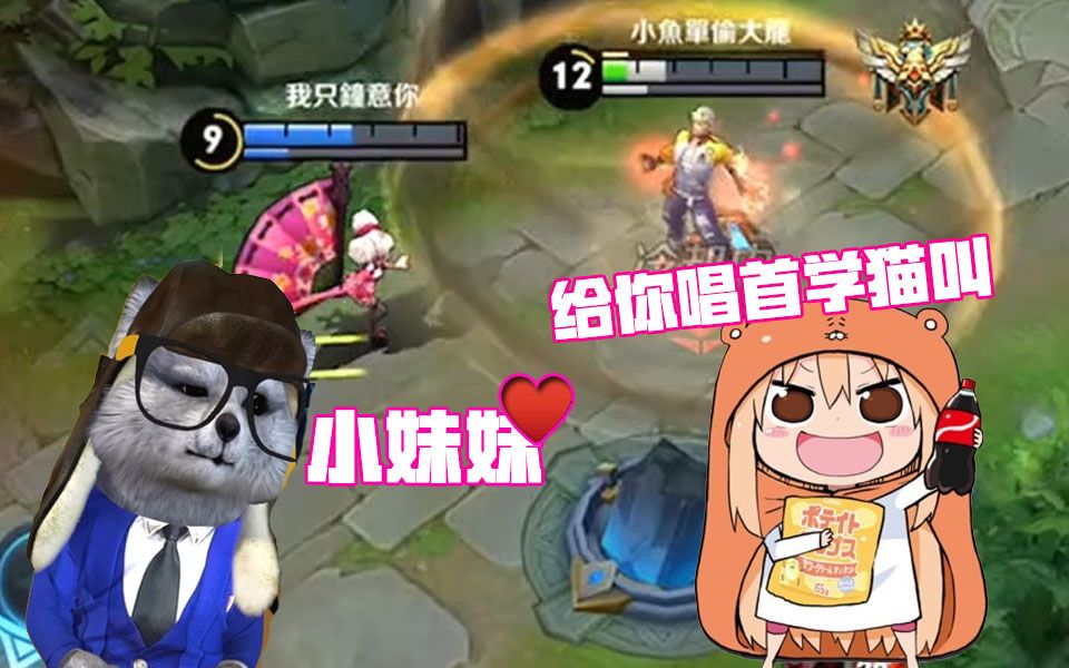 浣熊君遇俏皮妹子给熊哥唱学猫叫可爱到发芽王者荣耀