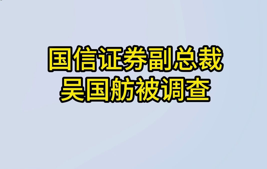 国信证券副总裁吴国舫被调查哔哩哔哩bilibili