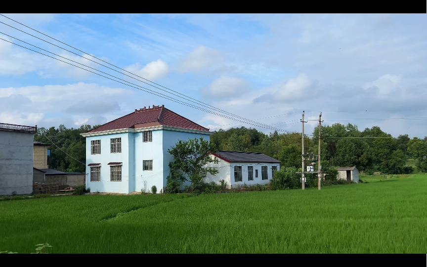 [图]【夏季乡村】醒目的绿，爱夏的原因，在绿色海洋中一切烦恼都能放一放