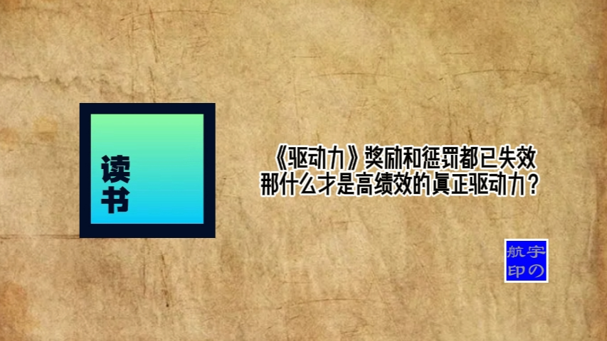 《驱动力》奖励和惩罚都已失效,那什么才是高绩效的真正驱动力?哔哩哔哩bilibili