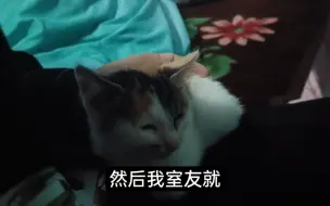 Download Video: 美女室友捡到了一只小奶猫，让我当她的养猫顾问