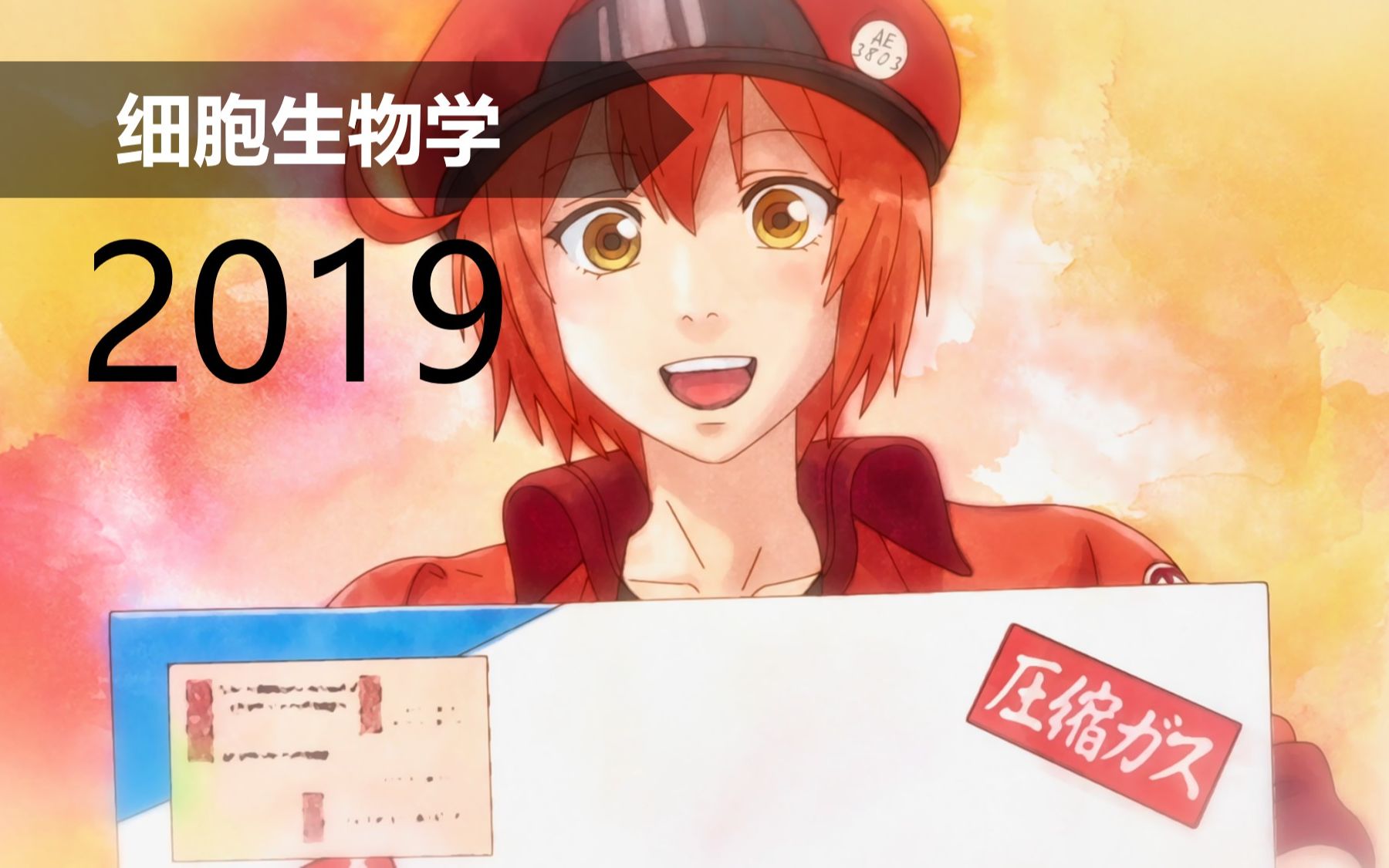 【细胞】iPS细胞概述 2019哔哩哔哩bilibili