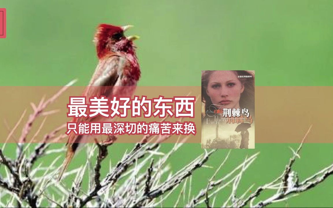 《荆棘鸟》阅读考琳ⷩ𚦥ᦴ›(Colleen McCullough)哔哩哔哩bilibili