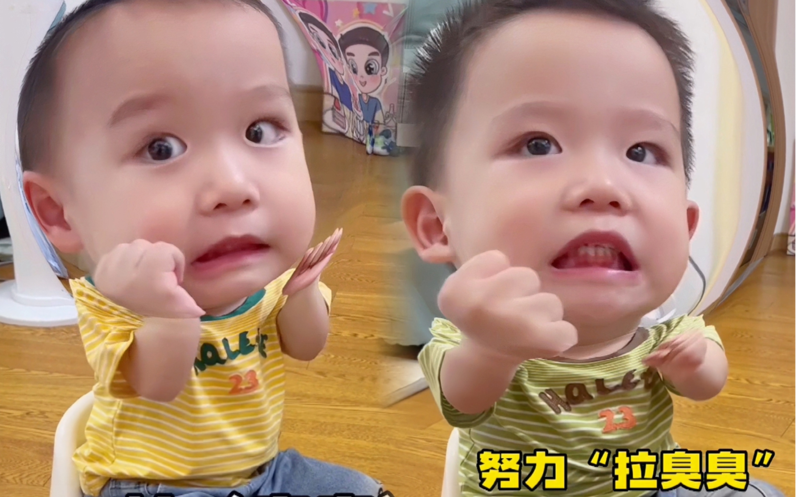 养着养着就养成了能交流的小朋友-胖团和胖圆-胖团和胖圆-哔哩哔哩视频