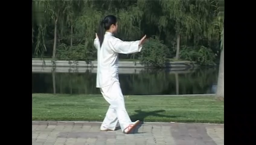 42式太极拳----独立打虎(分解动作)