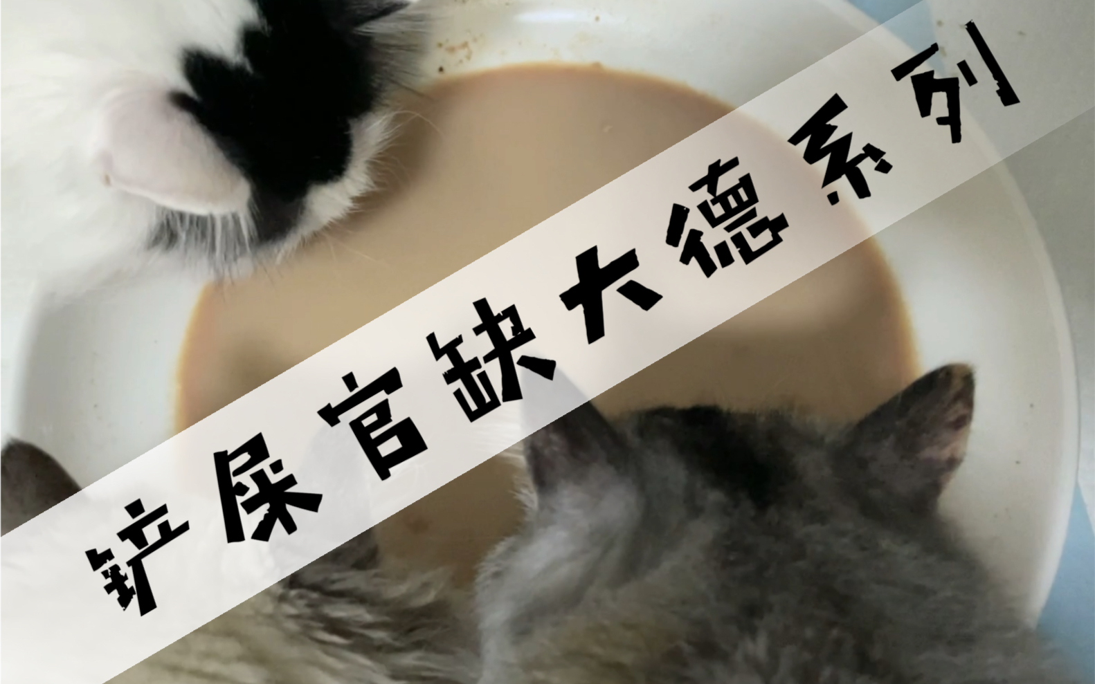 饮不尽的黄河水