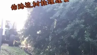 【强迫症必看】强迫症治愈系极度舒适碎枝机