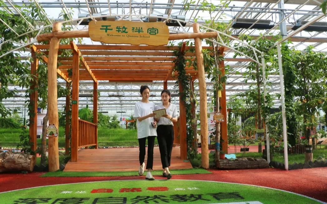 菏泽市自然教育 研学基地 研学旅行 劳动教育基地 中小学生劳动实践基地 研学活动 农业科普教育 农场休闲观光 亲子活动基地哔哩哔哩bilibili