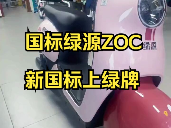 国标绿源ZOC,新国标上绿牌,600W液冷电机(质保10年),绿源风冷控制器,P档功能.哔哩哔哩bilibili