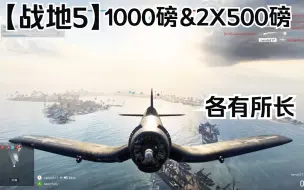 战地5   美军海盗F4U-1A  1000磅炸弹好还是2个500磅炸弹好？