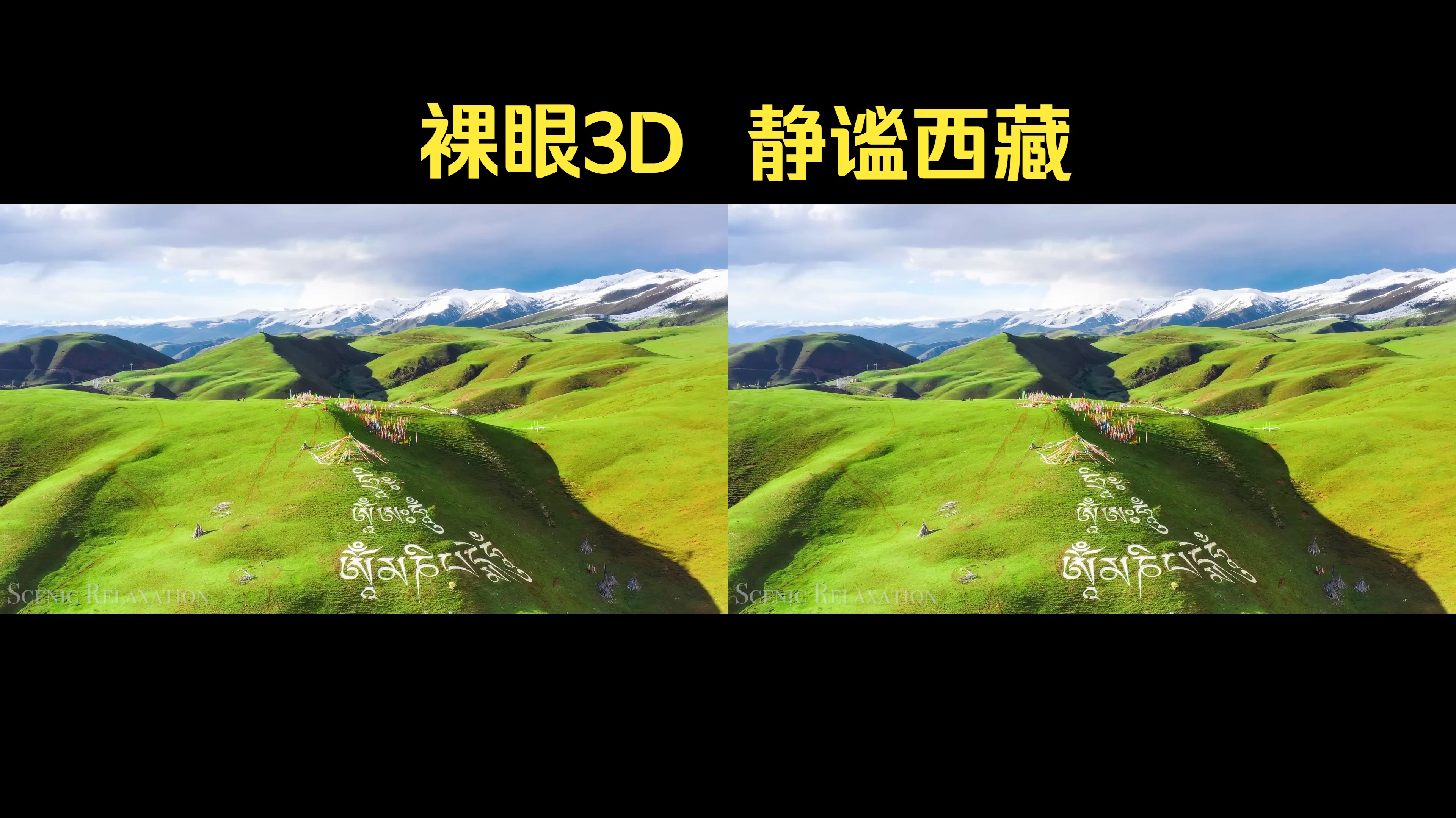 【裸眼3D/实景】青藏高原风光哔哩哔哩bilibili