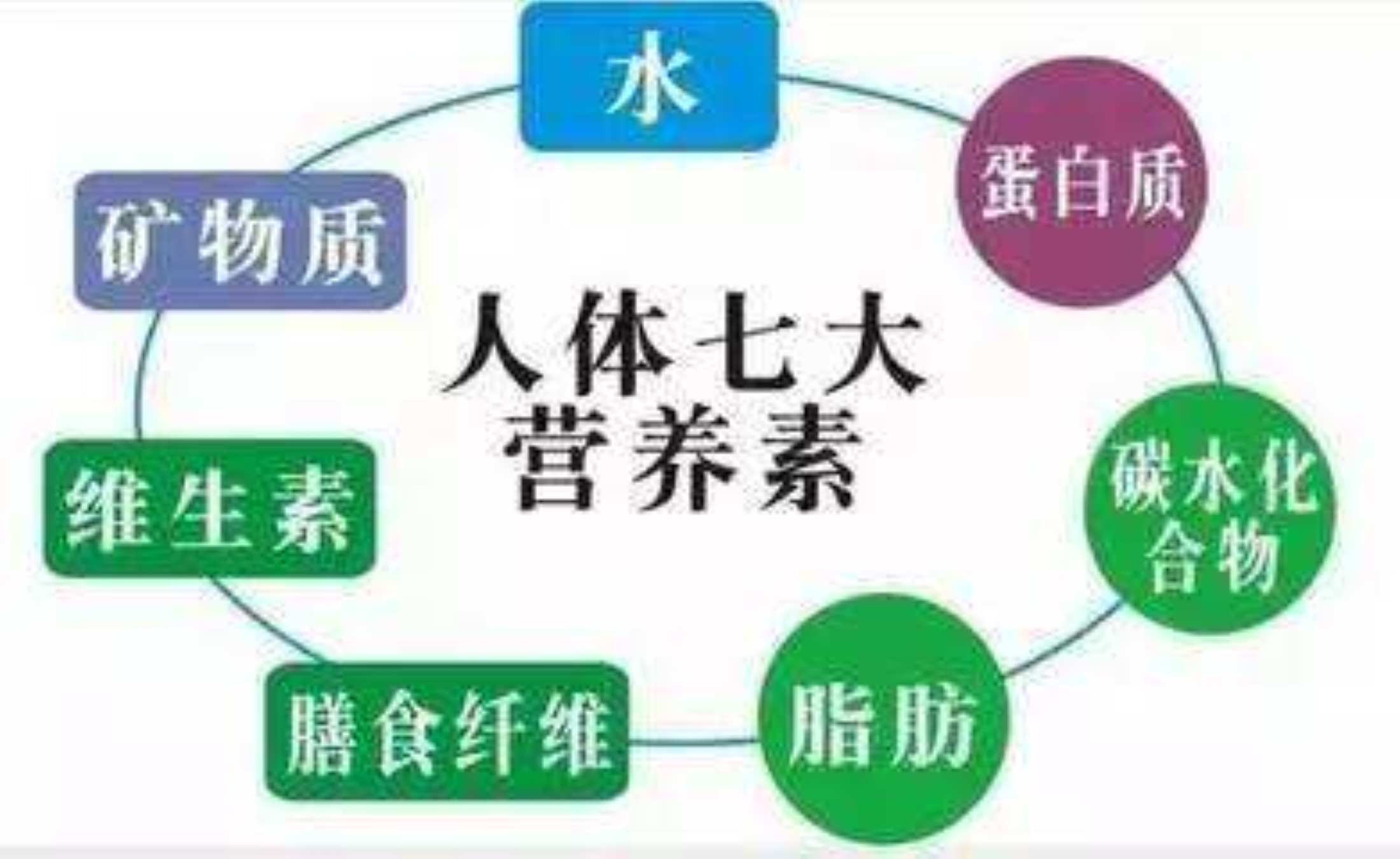 人体所需的七大营养素你知道几个?它们的作用你知道吗?哔哩哔哩bilibili