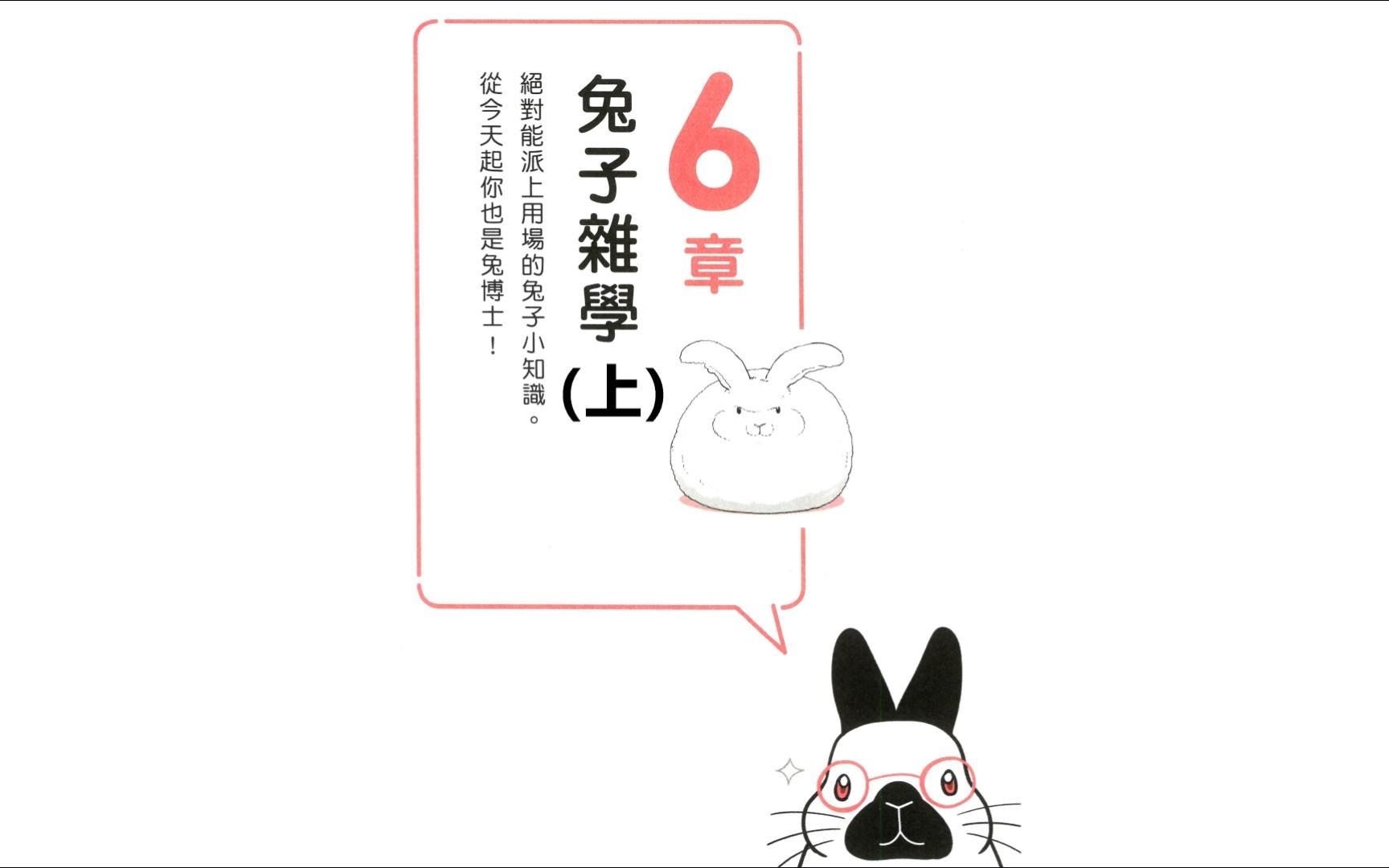 第六章 兔子杂学(上)了解兔兔的130个真心话 兔兔跟你想的不一样哔哩哔哩bilibili