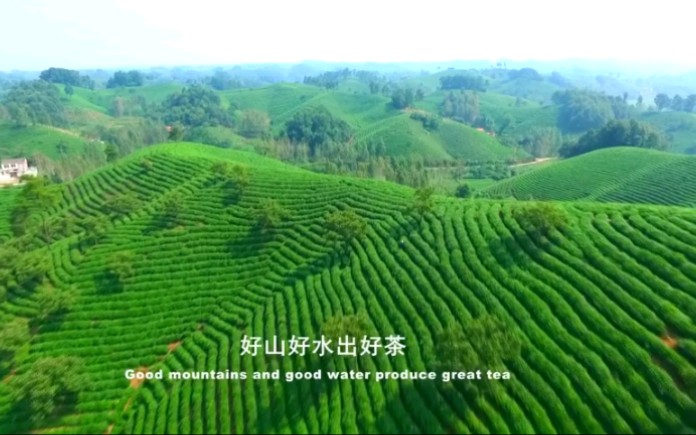 [图]【美丽中国，老家河南】 山水信阳休闲茶都欢迎您