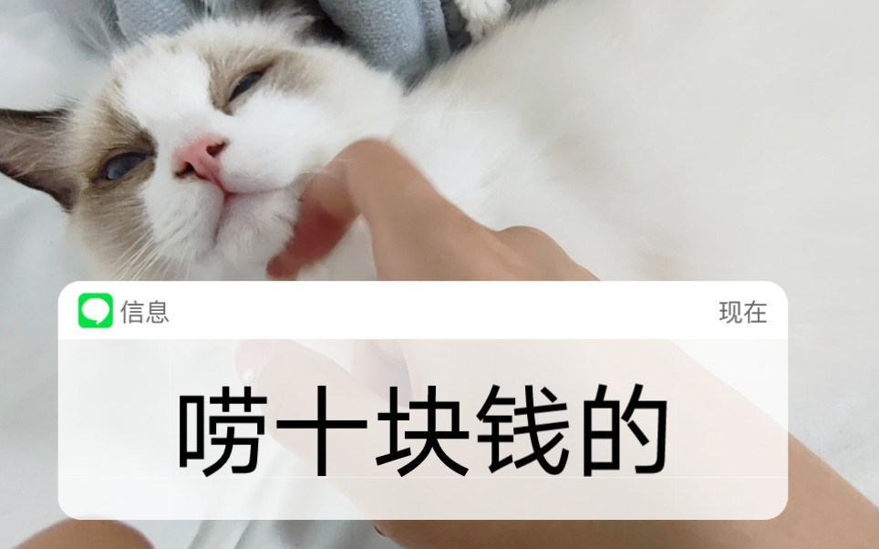 那就唠10块钱的吧.