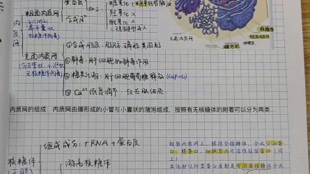 [图]陈阅增普通生物学配套笔记!由高分上岸学姐整理