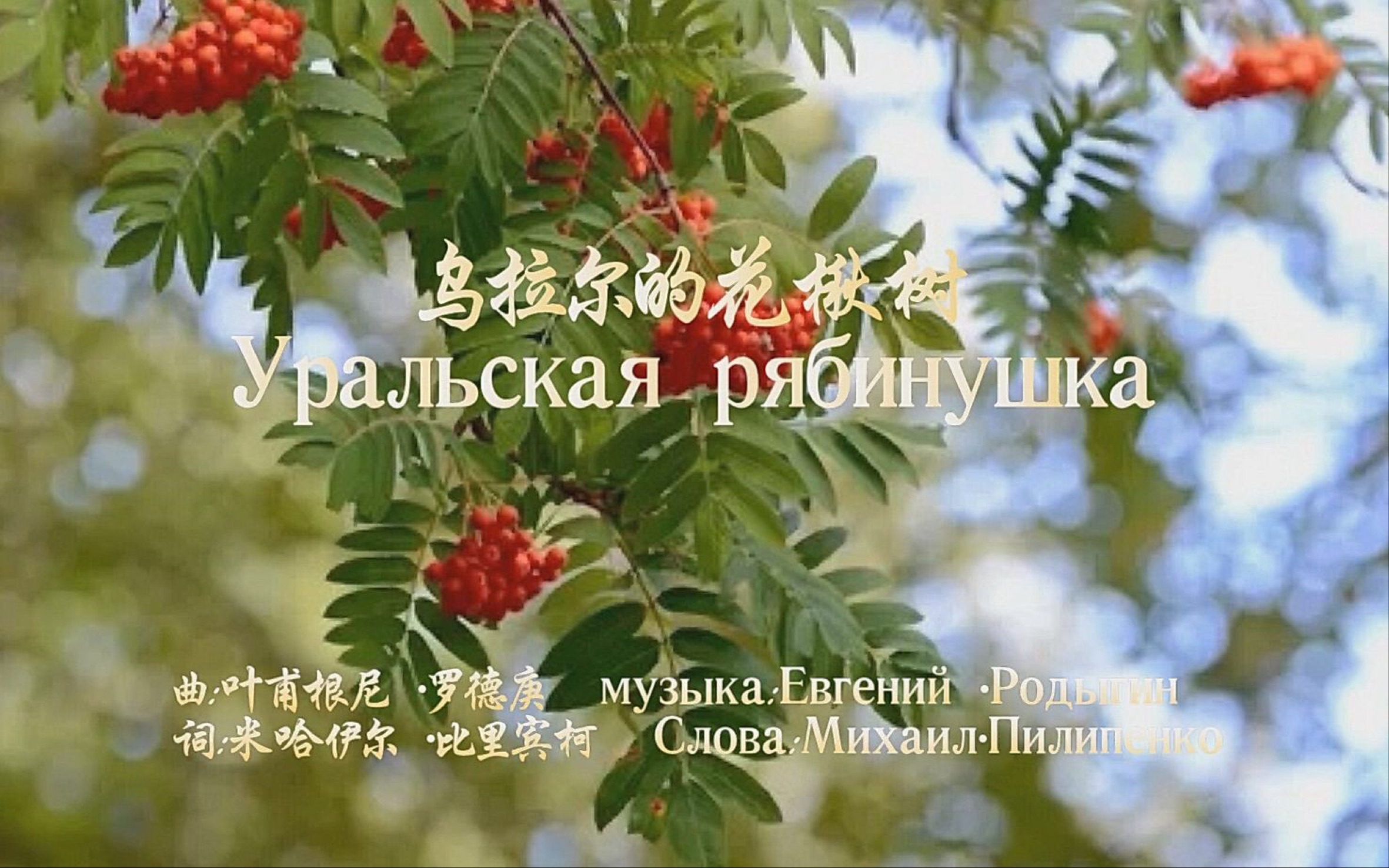 蘇聯名歌,烏拉爾的花楸樹(山楂樹),曲譜