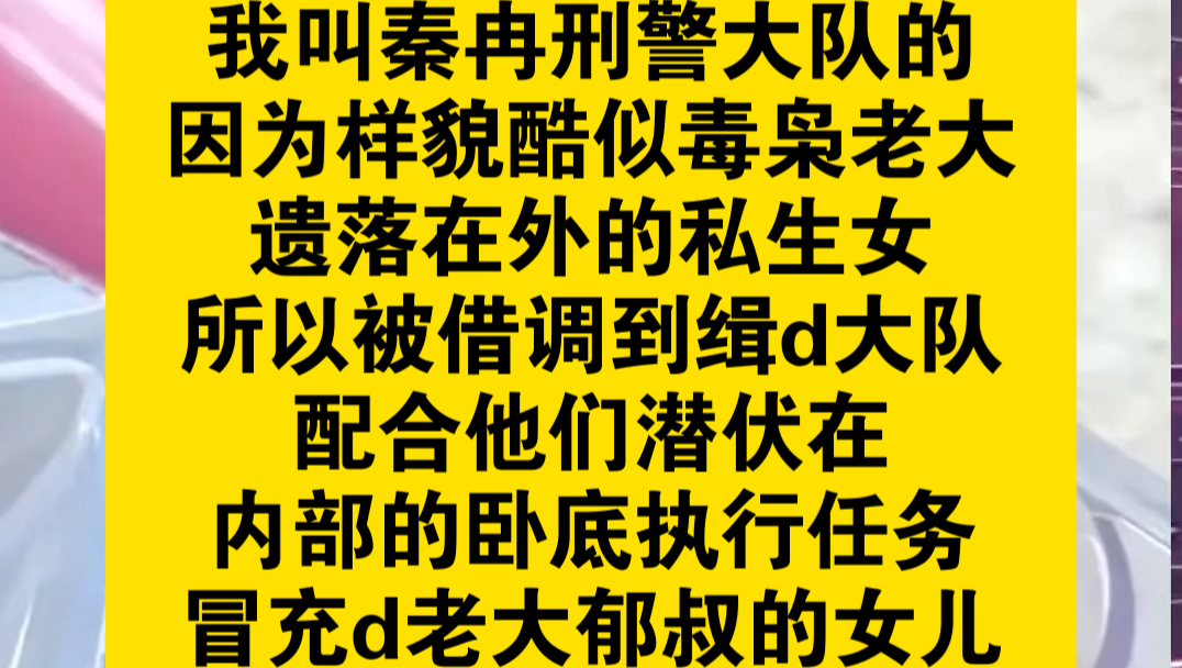 我叫秦冉刑警大队,因为样貌酷似毒枭老大遗落在外的私生女,所以被借调到缉d大队,配合他们潜伏在内部的卧底执行任务,冒充d老大郁叔的女儿哔哩哔...