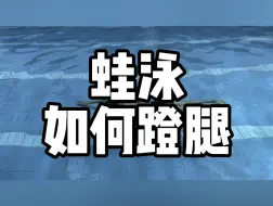 Descargar video: 蛙泳如何蹬腿