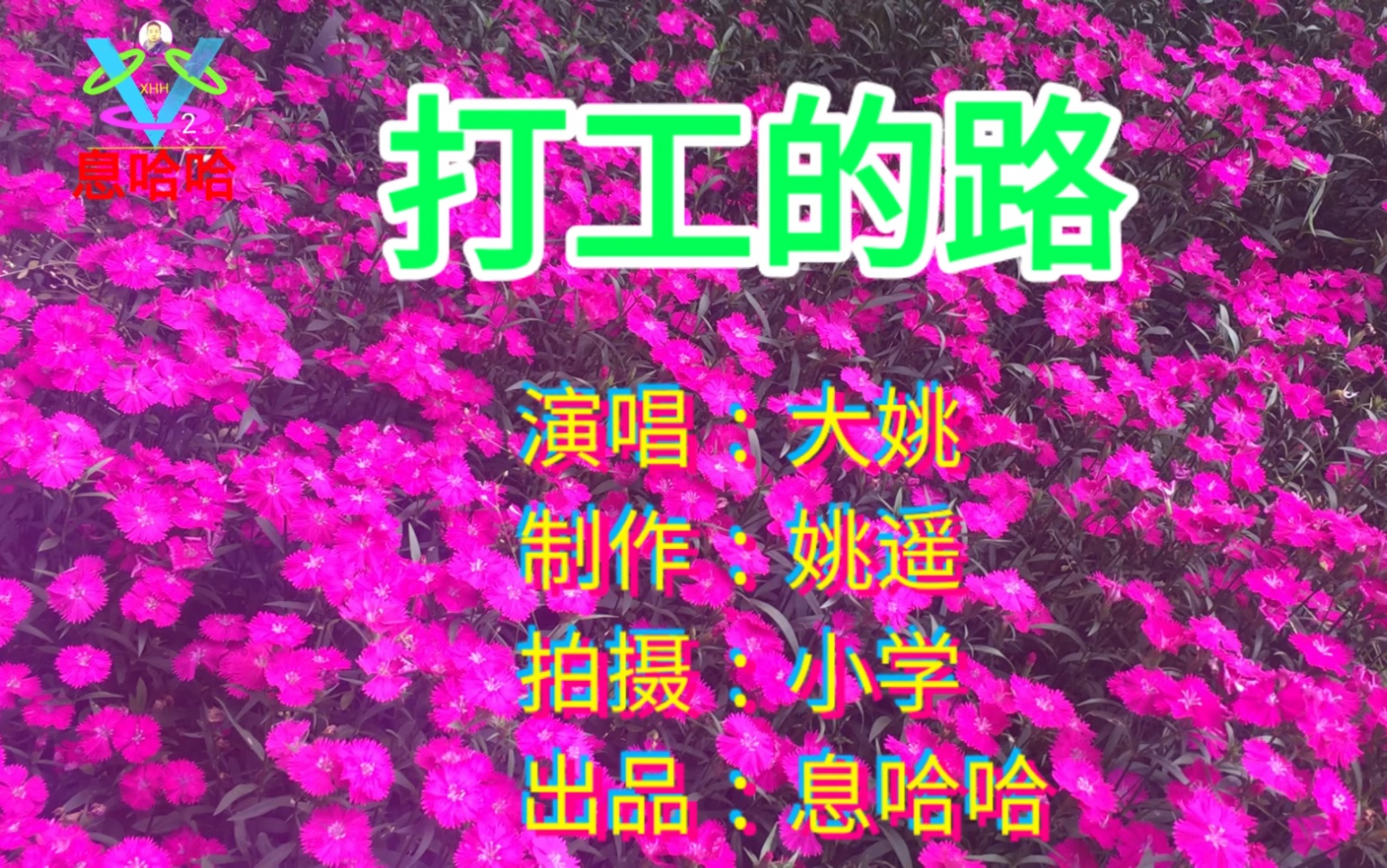 [图]赏花听歌 一首《打工的路》歌曲展播 百花盛开