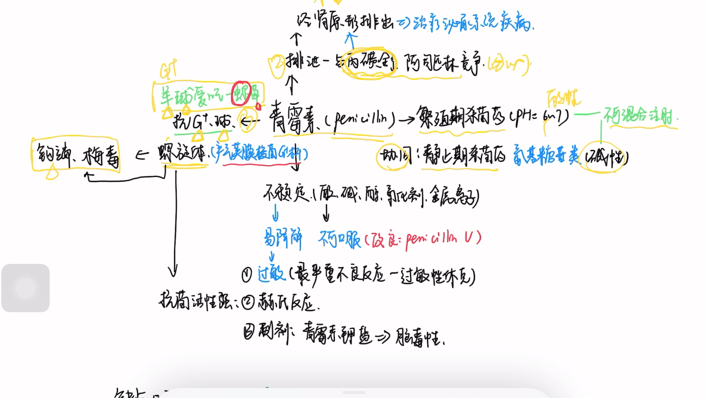 药理学 第四十章 内酰胺类抗生素之青霉素.用简单记忆复杂,用有趣对抗遗忘.哔哩哔哩bilibili