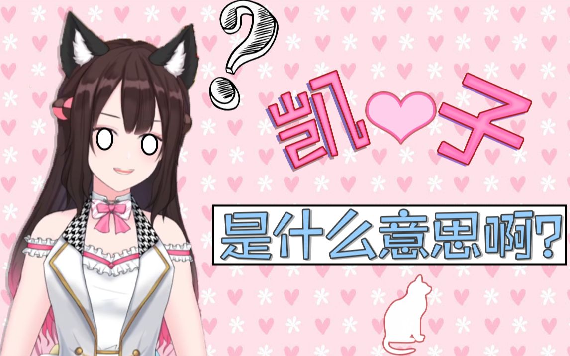 凯子是什么意思啊?