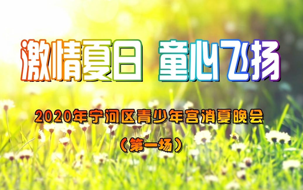 激情夏日 童心飞扬 2020年宁河区青少年宫消夏晚会 (第一场)