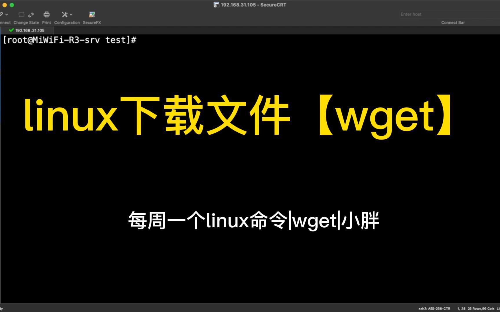 linux下载文件【wget】哔哩哔哩bilibili