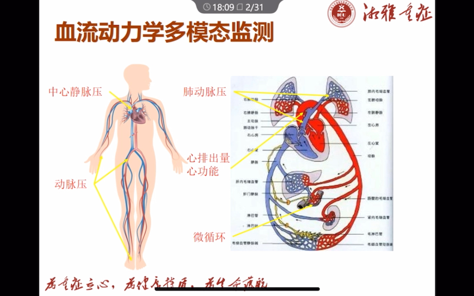 有创CO是金标准哔哩哔哩bilibili